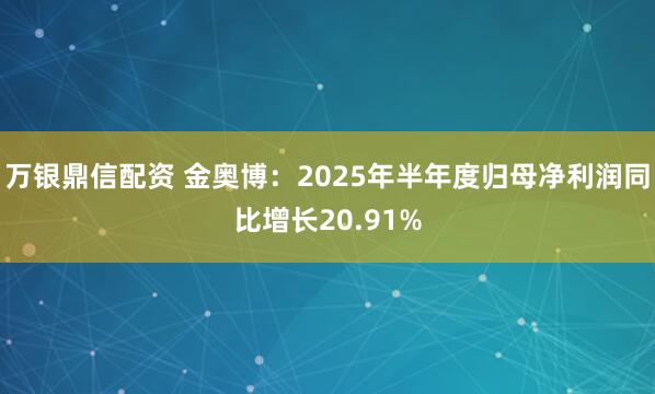 万银鼎信配资 金奥博：2025年半年度归母净利润同比增长20.91%