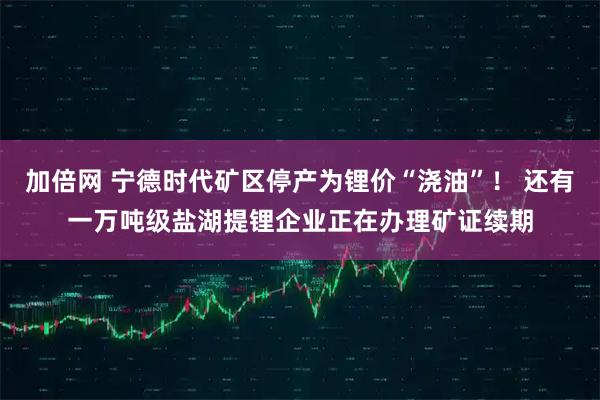 加倍网 宁德时代矿区停产为锂价“浇油”！ 还有一万吨级盐湖提锂企业正在办理矿证续期