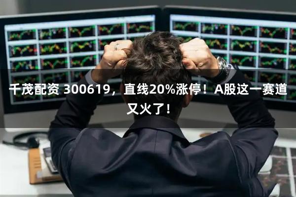千茂配资 300619，直线20%涨停！A股这一赛道又火了！