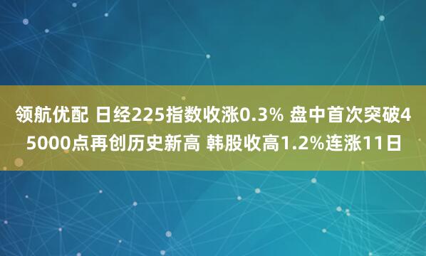 领航优配 日经225指数收涨0.3% 盘中首次突破45000点再创历史新高 韩股收高1.2%连涨11日