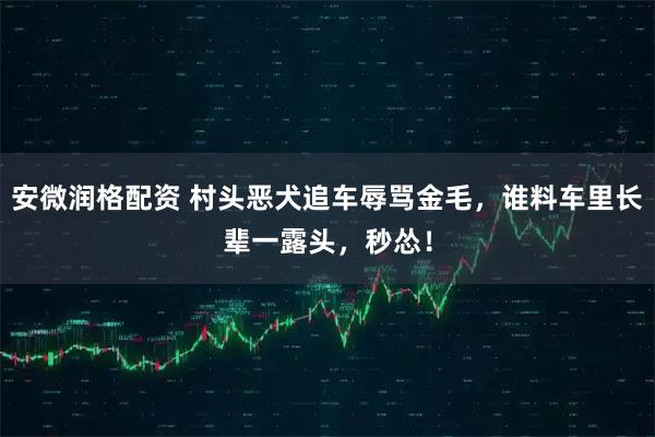 安微润格配资 村头恶犬追车辱骂金毛，谁料车里长辈一露头，秒怂！